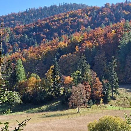 Apartmán Akra Zakopane Exteriér fotografie