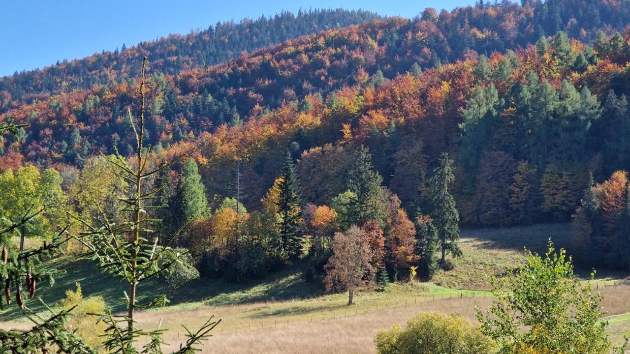 Apartmán Akra Zakopane Exteriér fotografie