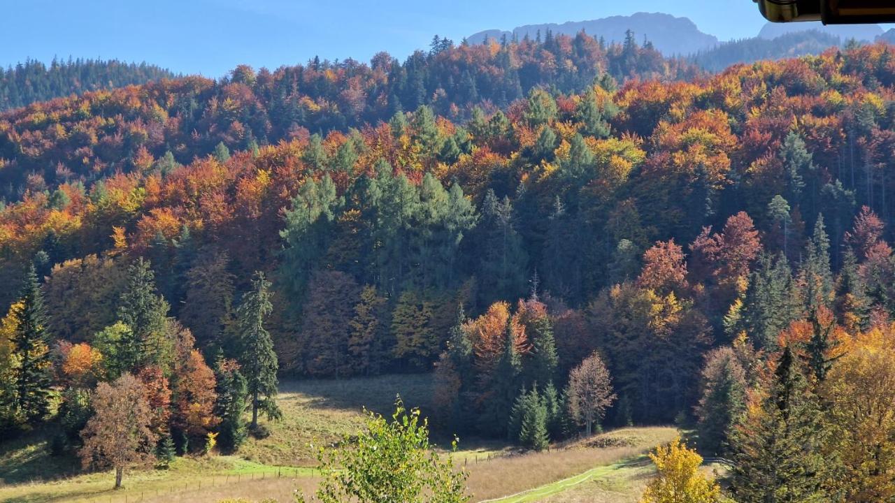 Apartmán Akra Zakopane Exteriér fotografie