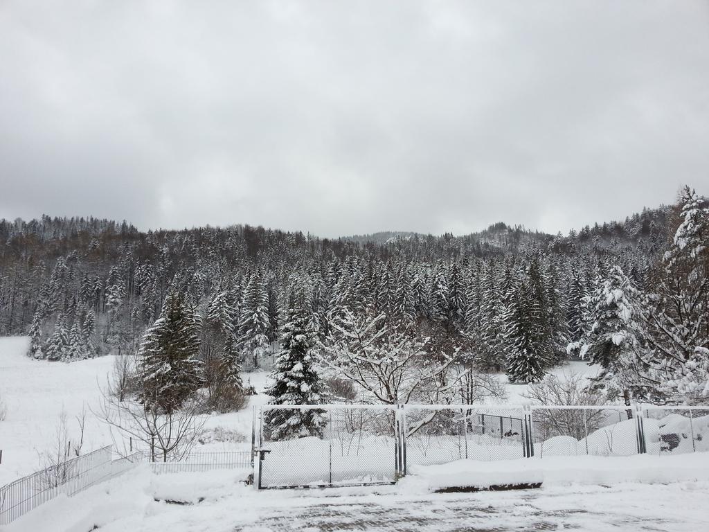 Apartmán Akra Zakopane Exteriér fotografie